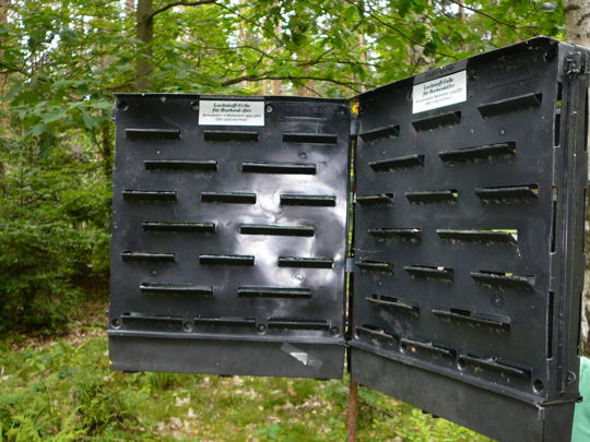 Buchdrucker Urlaub 2009 uhlstaedt 029