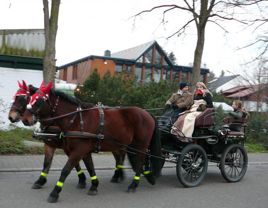 Dez 08 Weihnachtsbasar Hütt 010