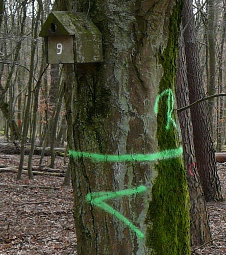 März 2008 Spr10 März 2008 Spr10