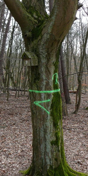 März 2008 Spr2 März 2008 Spr2