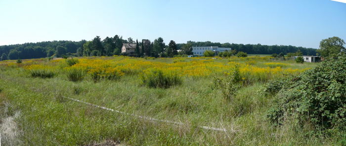 Stitched_001_Seefeld2