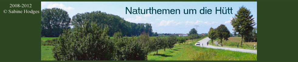 Banner_Huett Kopie Banner_Huett Kopie