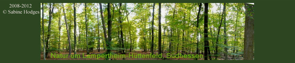 Banner_NaturumHuettenfeld Kopie Banner_NaturumHuettenfeld Kopie