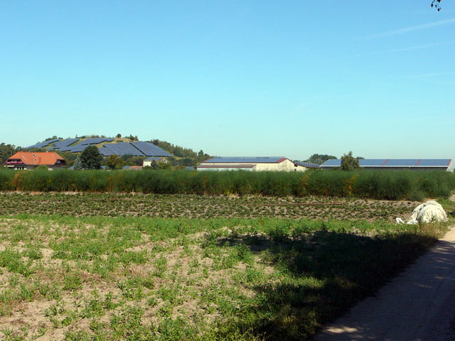 Sep 2012 ZAKB Tag der offenen Tr, Greifvgel Lorsch 032