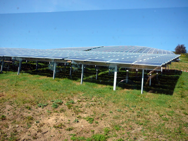 Sep 2012 ZAKB Tag der offenen Tr, Greifvgel Lorsch 039