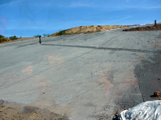 Sep 2012 ZAKB Tag der offenen Tr, Greifvgel Lorsch 045