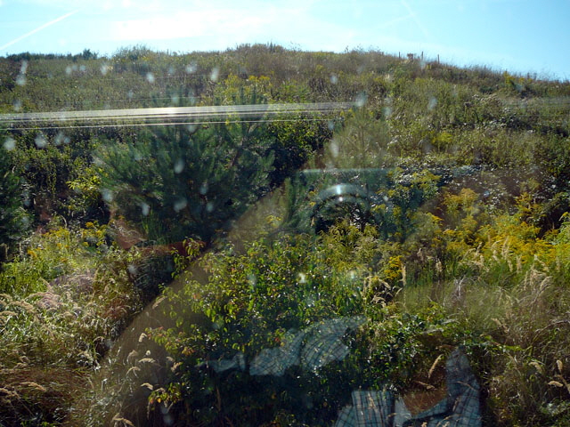 Sep 2012 ZAKB Tag der offenen Tr, Greifvgel Lorsch 051