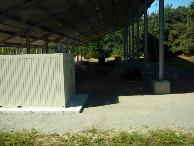 Sep 2012 ZAKB Tag der offenen Tr, Greifvgel Lorsch 053