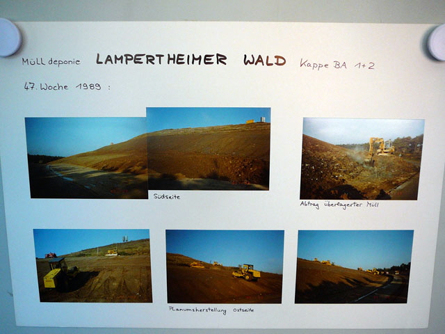 Sep 2012 ZAKB Tag der offenen Tr, Greifvgel Lorsch 092