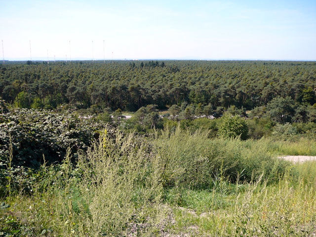 Sep 2012 ZAKB Tag der offenen Tr, Greifvgel Lorsch 149