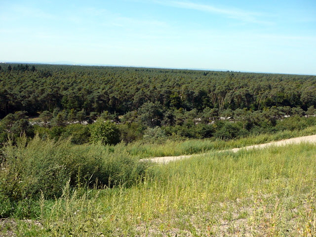 Sep 2012 ZAKB Tag der offenen Tr, Greifvgel Lorsch 150