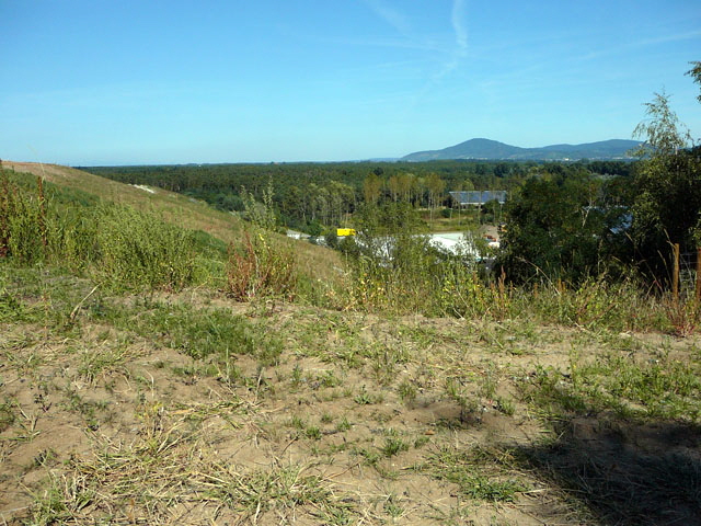 Sep 2012 ZAKB Tag der offenen Tr, Greifvgel Lorsch 152