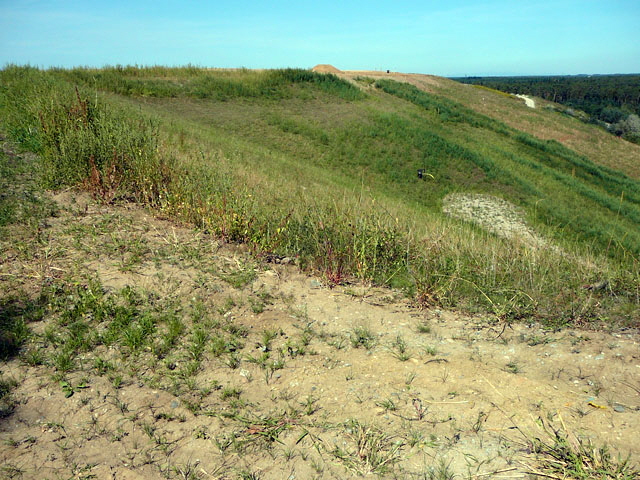 Sep 2012 ZAKB Tag der offenen Tr, Greifvgel Lorsch 153