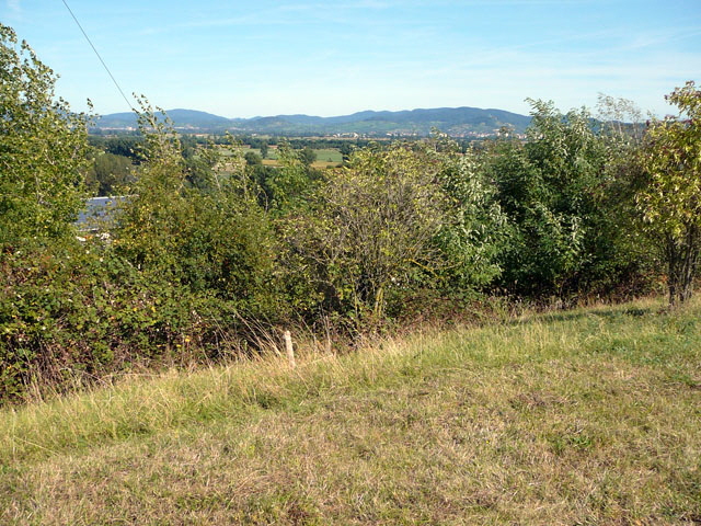 Sep 2012 ZAKB Tag der offenen Tr, Greifvgel Lorsch 157