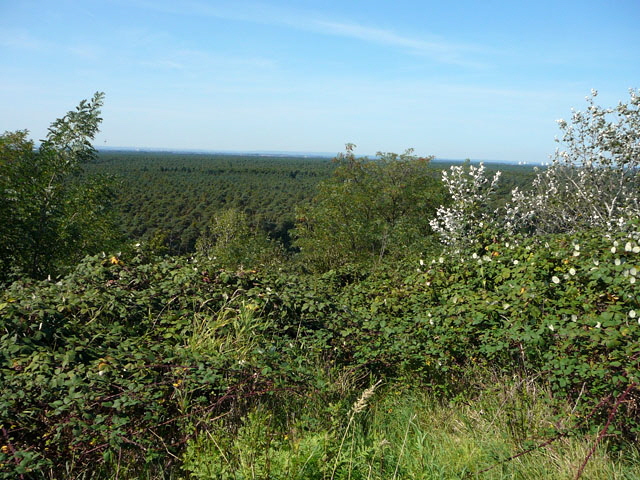 Sep 2012 ZAKB Tag der offenen Tr, Greifvgel Lorsch 160