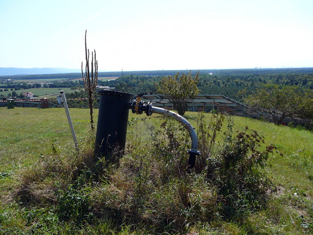 Sep 2012 ZAKB Tag der offenen Tr, Greifvgel Lorsch 161