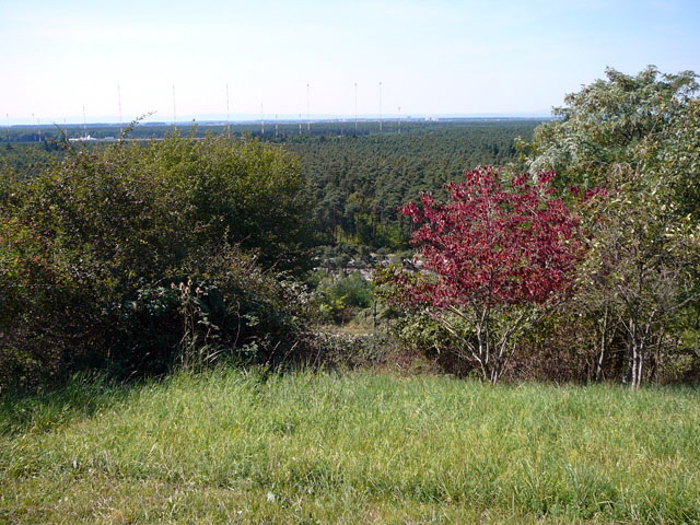 Sep 2012 ZAKB Tag der offenen Tr, Greifvgel Lorsch 162