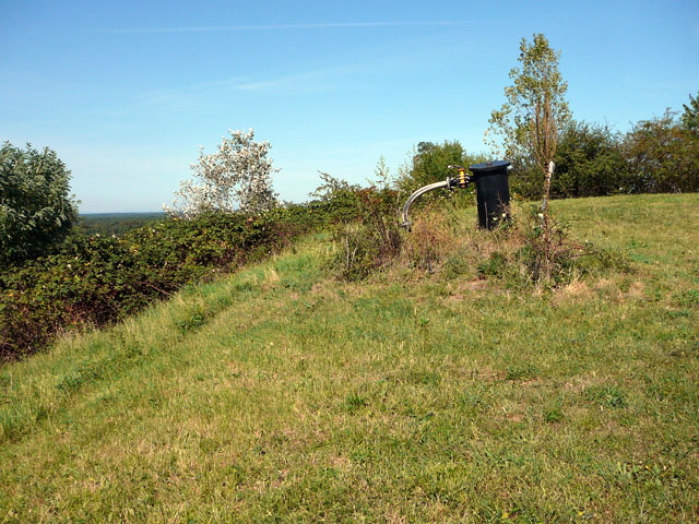 Sep 2012 ZAKB Tag der offenen Tr, Greifvgel Lorsch 163