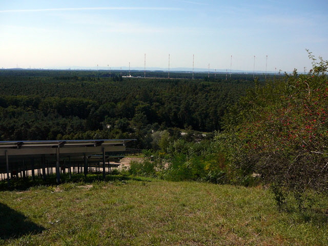 Sep 2012 ZAKB Tag der offenen Tr, Greifvgel Lorsch 164