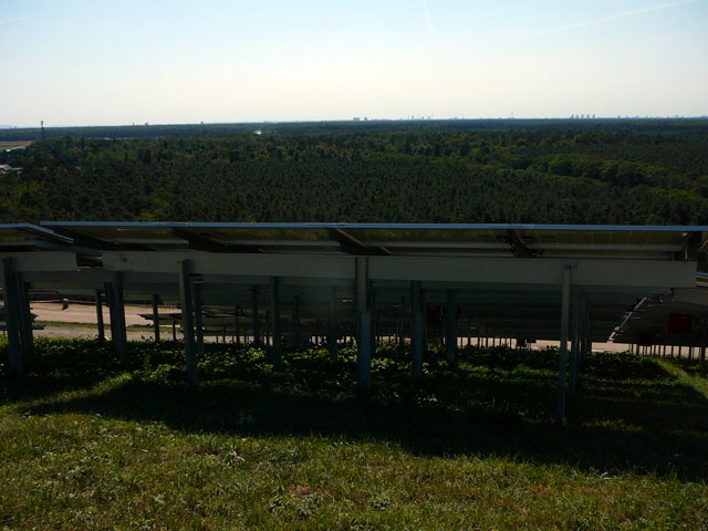 Sep 2012 ZAKB Tag der offenen Tr, Greifvgel Lorsch 165