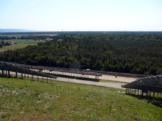 Sep 2012 ZAKB Tag der offenen Tr, Greifvgel Lorsch 166