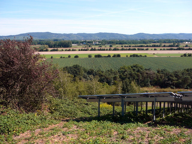 Sep 2012 ZAKB Tag der offenen Tr, Greifvgel Lorsch 172