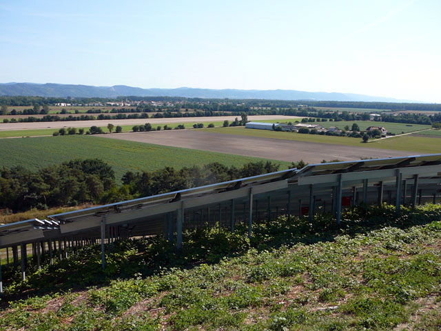 Sep 2012 ZAKB Tag der offenen Tr, Greifvgel Lorsch 173