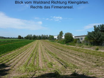 Juli 09 A Firma im Seefeld 2