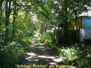 Juli 09 A Firma im Seefeld 8