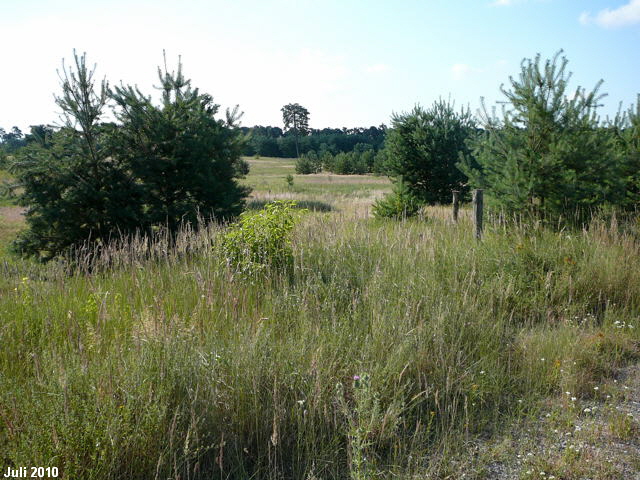 a_Juli_2010_Radtour_zu_Viernheimer_Glockenbuckel_061