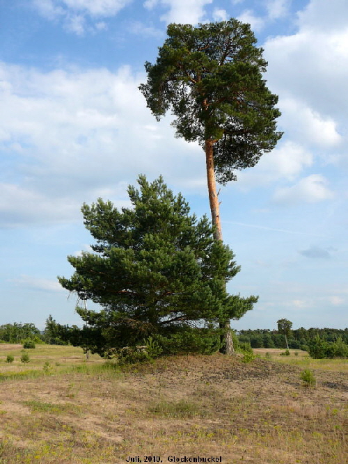 a_Juli_2010_Radtour_zu_Viernheimer_Glockenbuckel_109