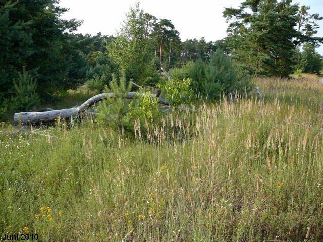 a_Juli_2010_Radtour_zu_Viernheimer_Glockenbuckel_127