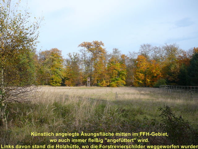 Okt 2008 Hühnerhaus u. Hütt Kauz 030 Okt 2008 Hühnerhaus u. Hütt Kauz 030