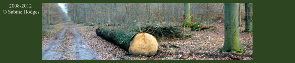 glockenbuckel-bannerNaturthemen Kopie glockenbuckel-bannerNaturthemen Kopie