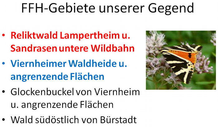 08 Natura 2000 und ICE Trassenvarianten 16