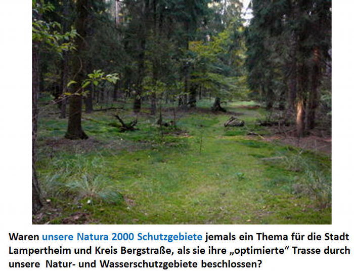 16 Natura 2000 und ICE Trassenvarianten 16