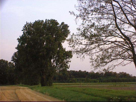 Aufgenommenes Einzelbild (Frame) 11