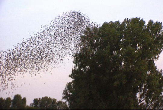 Aufgenommenes Einzelbild (Frame) 12