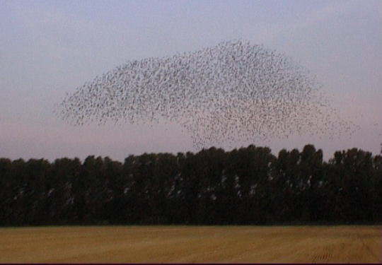 Aufgenommenes Einzelbild (Frame) 13