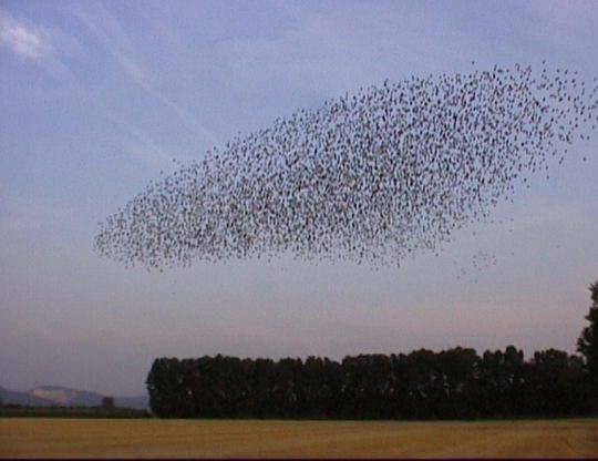 Aufgenommenes Einzelbild (Frame) 14