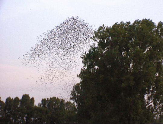 Aufgenommenes Einzelbild (Frame) 15