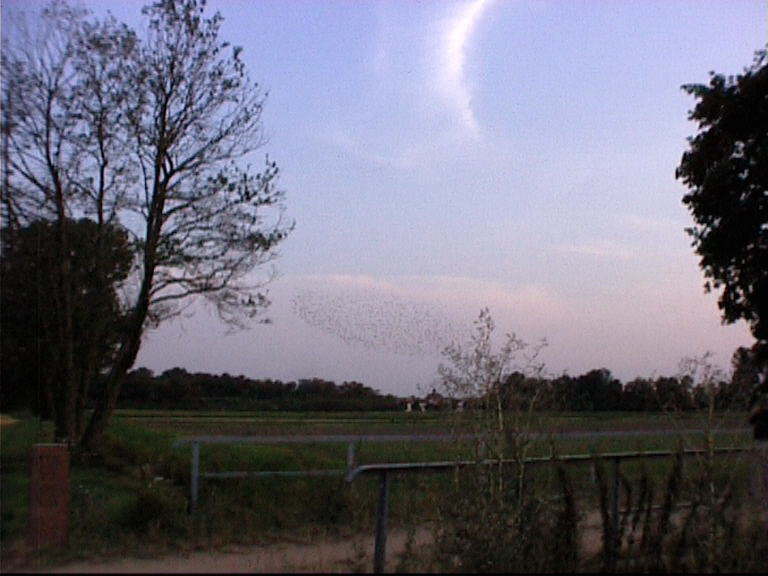 Aufgenommenes Einzelbild (Frame) 16