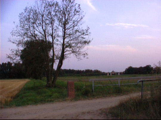 Aufgenommenes Einzelbild (Frame) 19