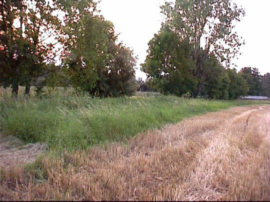 Aufgenommenes Einzelbild (Frame) 20