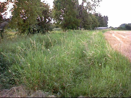 Aufgenommenes Einzelbild (Frame) 21