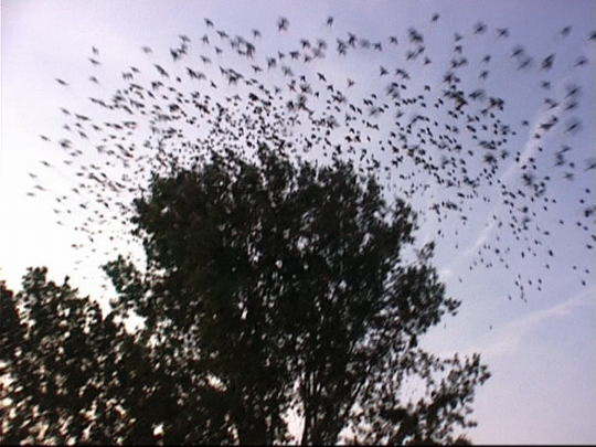 Aufgenommenes Einzelbild (Frame) 2