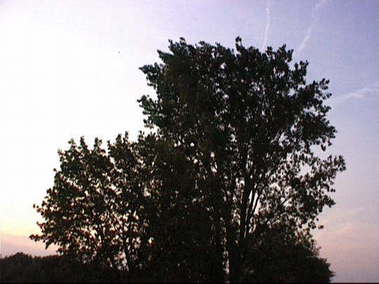 Aufgenommenes Einzelbild (Frame) 4