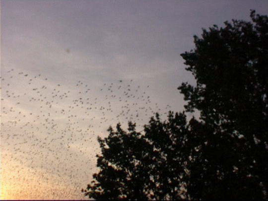 Aufgenommenes Einzelbild (Frame) 5