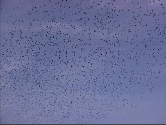 Aufgenommenes Einzelbild (Frame) 6