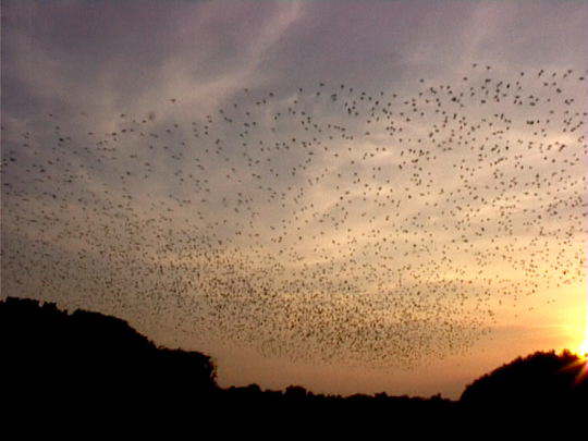 Aufgenommenes Einzelbild (Frame) 7